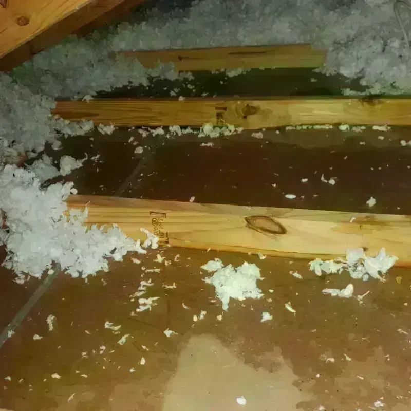 Attic Water Damage in La Luz, NM